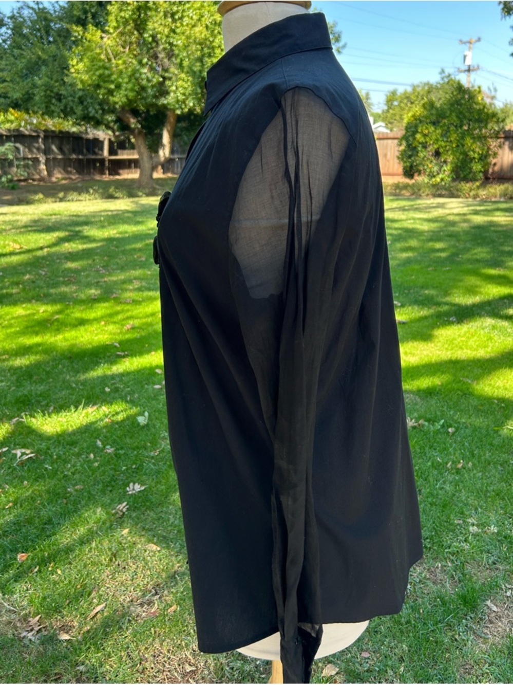 Anne Fontaine Black Sheer Sleeve Rosaorgal Blouse - Picture 3 of 9